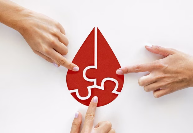 Donar sangre: El proceso biológico que oxigena y renueva tu salud